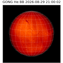 gong - 2026-08-29T21:00:02