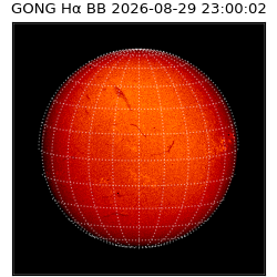 gong - 2026-08-29T23:00:02