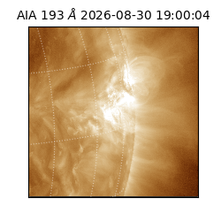saia - 2026-08-30T19:00:04.840000