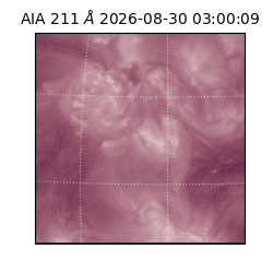 saia - 2026-08-30T03:00:09.620000