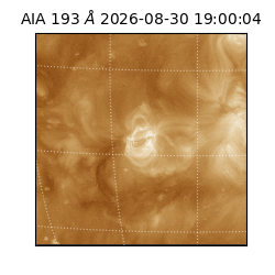 saia - 2026-08-30T19:00:04.840000