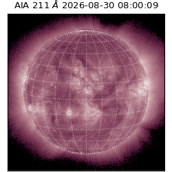 saia - 2026-08-30T08:00:09.630000