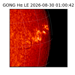 gong - 2026-08-30T01:00:42