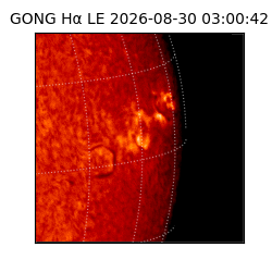 gong - 2026-08-30T03:00:42