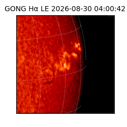 gong - 2026-08-30T04:00:42