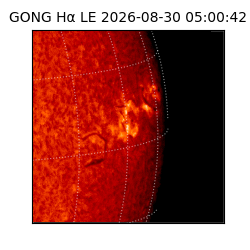 gong - 2026-08-30T05:00:42