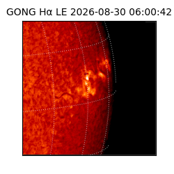 gong - 2026-08-30T06:00:42