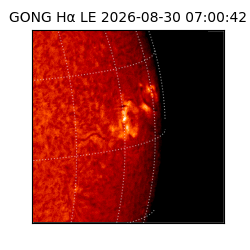 gong - 2026-08-30T07:00:42