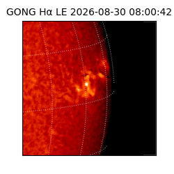 gong - 2026-08-30T08:00:42