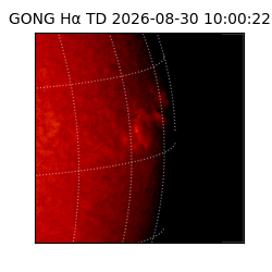 gong - 2026-08-30T10:00:22
