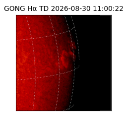 gong - 2026-08-30T11:00:22