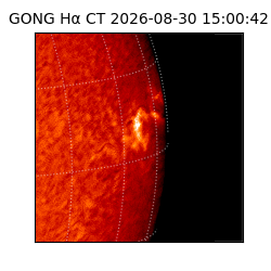 gong - 2026-08-30T15:00:42