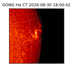 gong - 2026-08-30T18:00:42