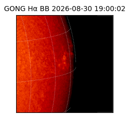 gong - 2026-08-30T19:00:02