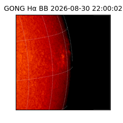 gong - 2026-08-30T22:00:02