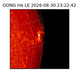 gong - 2026-08-30T23:22:42