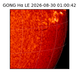 gong - 2026-08-30T01:00:42