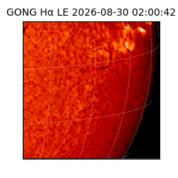 gong - 2026-08-30T02:00:42