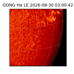 gong - 2026-08-30T03:00:42