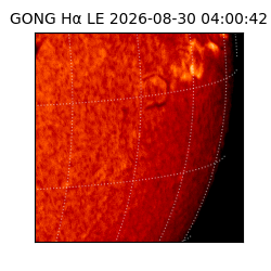 gong - 2026-08-30T04:00:42