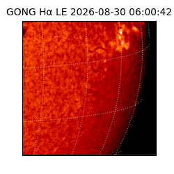 gong - 2026-08-30T06:00:42