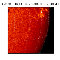 gong - 2026-08-30T07:00:42