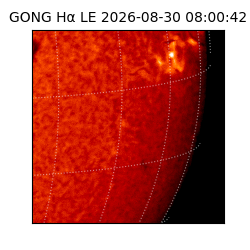 gong - 2026-08-30T08:00:42