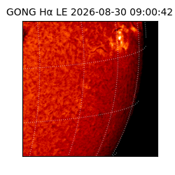 gong - 2026-08-30T09:00:42