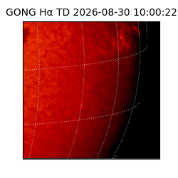 gong - 2026-08-30T10:00:22