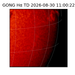 gong - 2026-08-30T11:00:22