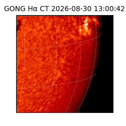 gong - 2026-08-30T13:00:42