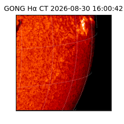 gong - 2026-08-30T16:00:42