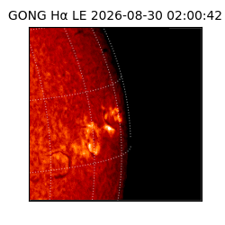 gong - 2026-08-30T02:00:42