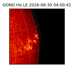 gong - 2026-08-30T04:00:42