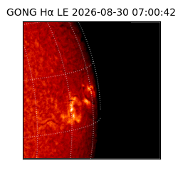 gong - 2026-08-30T07:00:42