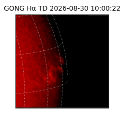gong - 2026-08-30T10:00:22