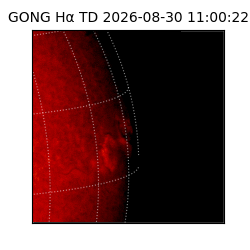 gong - 2026-08-30T11:00:22