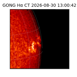 gong - 2026-08-30T13:00:42