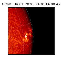 gong - 2026-08-30T14:00:42