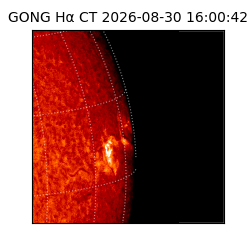 gong - 2026-08-30T16:00:42