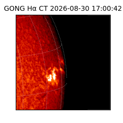 gong - 2026-08-30T17:00:42