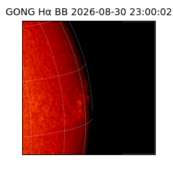 gong - 2026-08-30T23:00:02