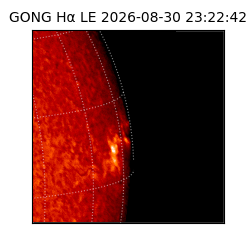gong - 2026-08-30T23:22:42