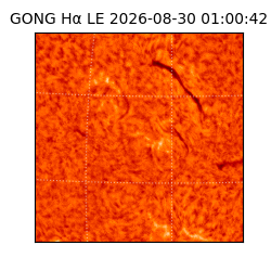 gong - 2026-08-30T01:00:42