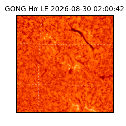 gong - 2026-08-30T02:00:42