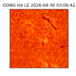 gong - 2026-08-30T03:00:42