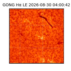 gong - 2026-08-30T04:00:42