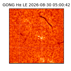 gong - 2026-08-30T05:00:42