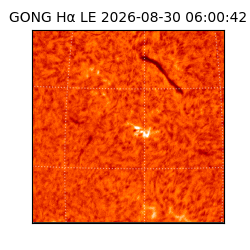 gong - 2026-08-30T06:00:42