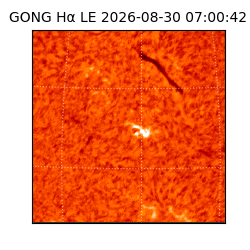 gong - 2026-08-30T07:00:42